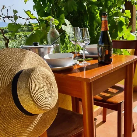 Vesuvio E Wine Experience * Boscotrecase