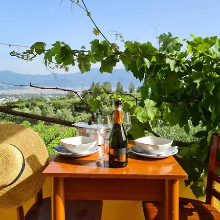 Vesuvio E Wine Experience Boscotrecase