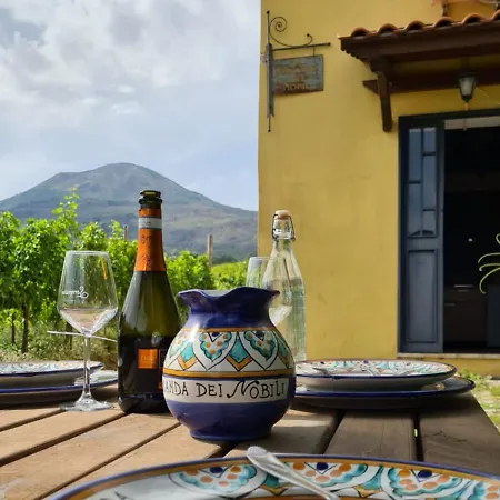 Vesuvio E Wine Experience *