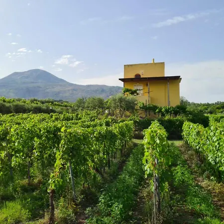 Κατάλυμα σε φάρμα Vesuvio E Wine Experience Boscotrecase