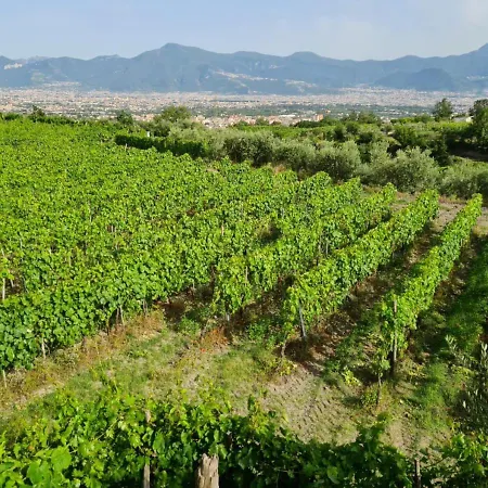 Vesuvio E Wine Experience Κατάλυμα σε φάρμα