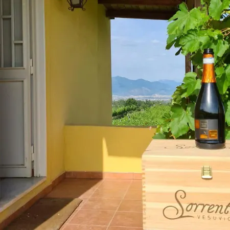 Vesuvio E Wine Experience Фермерский дом