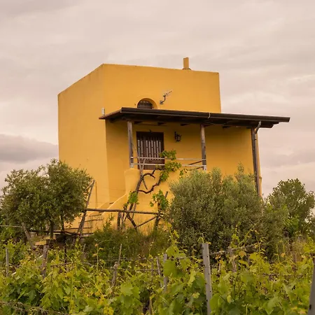 Vesuvio E Wine Experience