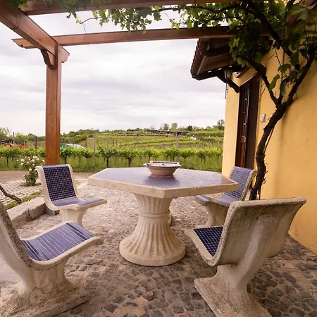Vesuvio E Wine Experience