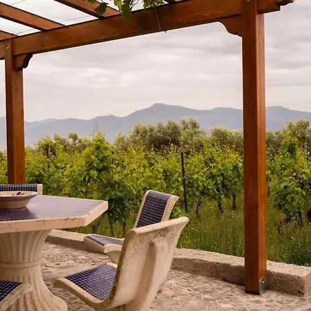 Фермерский дом Vesuvio E Wine Experience