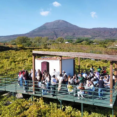 Κατάλυμα σε φάρμα Vesuvio E Wine Experience *