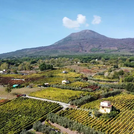 Κατάλυμα σε φάρμα Vesuvio E Wine Experience