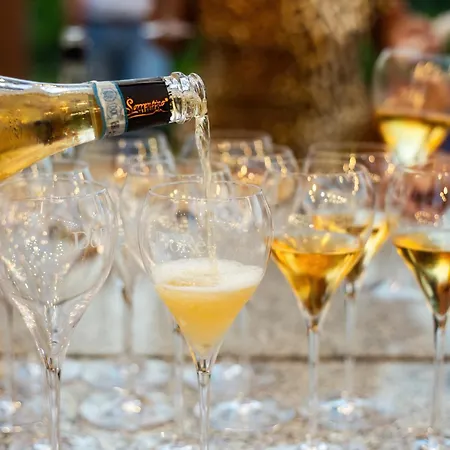 Vesuvio E Wine Experience Κατάλυμα σε φάρμα Boscotrecase