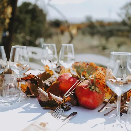 Vesuvio E Wine Experience Κατάλυμα σε φάρμα Boscotrecase