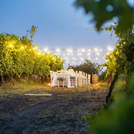 Vesuvio E Wine Experience Κατάλυμα σε φάρμα Boscotrecase