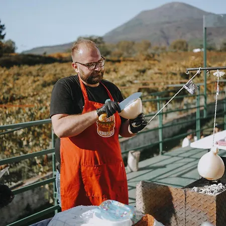Vesuvio E Wine Experience