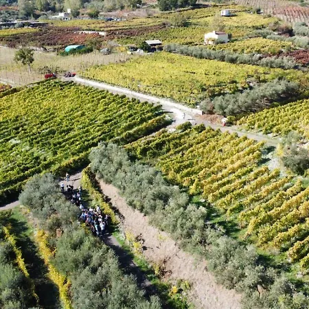 Vesuvio E Wine Experience Κατάλυμα σε φάρμα Boscotrecase