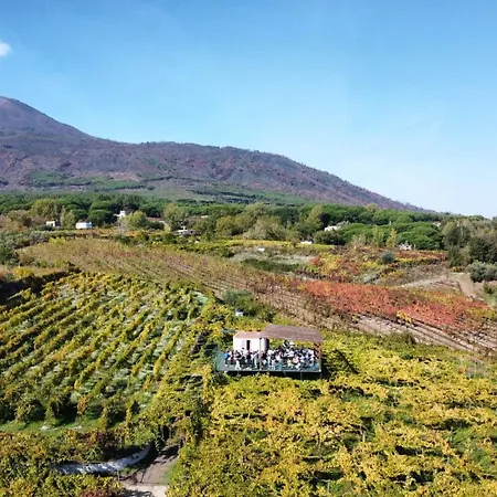 Vesuvio E Wine Experience Κατάλυμα σε φάρμα