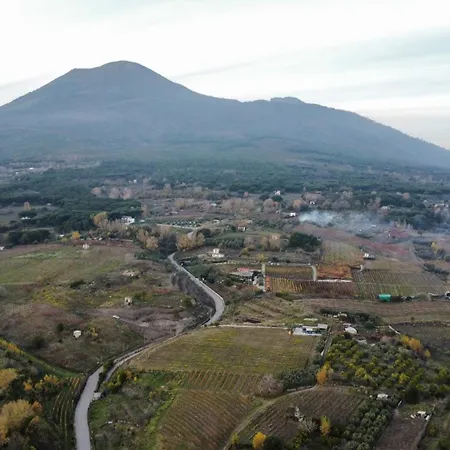 Κατάλυμα σε φάρμα Vesuvio E Wine Experience Boscotrecase