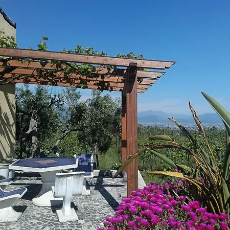 Vesuvio E Wine Experience