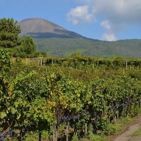 Vesuvio E Wine Experience * Boscotrecase