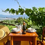 Vesuvio E Wine Experience Boscotrecase