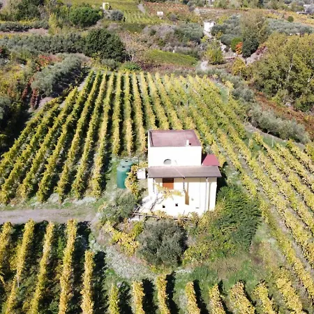 Vesuvio E Wine Experience *