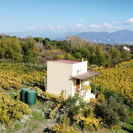 Vesuvio E Wine Experience Farm stay Boscotrecase