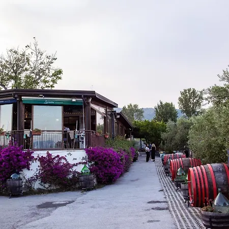 Farm stay Vesuvio E Wine Experience Boscotrecase