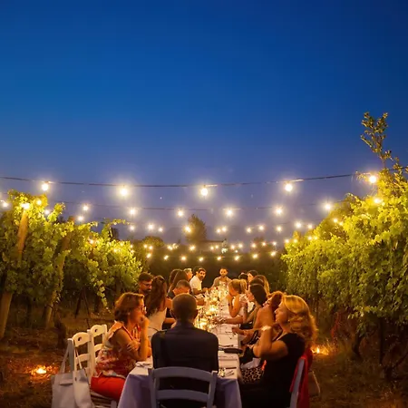 Vesuvio E Wine Experience Farm stay *