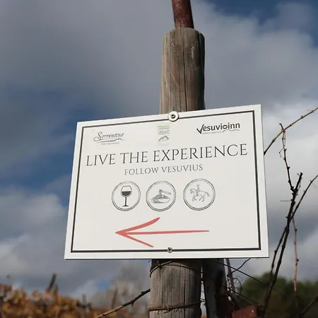 Vesuvio E Wine Experience Farm stay *